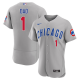 Men's Chicago Cubs Nike Gray Road #1 Dad MLB Jersey