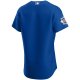 Men's Chicago Cubs Nike Royal Alternate Team Jersey