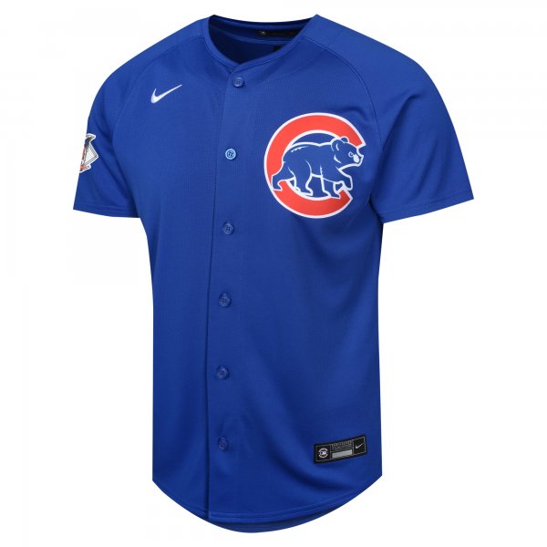 Youth Chicago Cubs Dansby Swanson Nike Royal Alternate Limited Player Jersey