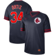 Men's Nike Blank Boston Red Sox #34 David Ortiz Navy Cooperstown Collection Legend V-Neck MLB Jersey