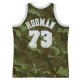 Men's Los Angeles Lakers Dennis Rodman Mitchell & Ness Camo Hardwood Classics 1998/99 Ghost Green Swingman Jersey