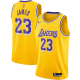 Men's Los Angeles Lakers #23 LeBron James Nike Gold 2020-21 Swingman Icon Edition Jersey