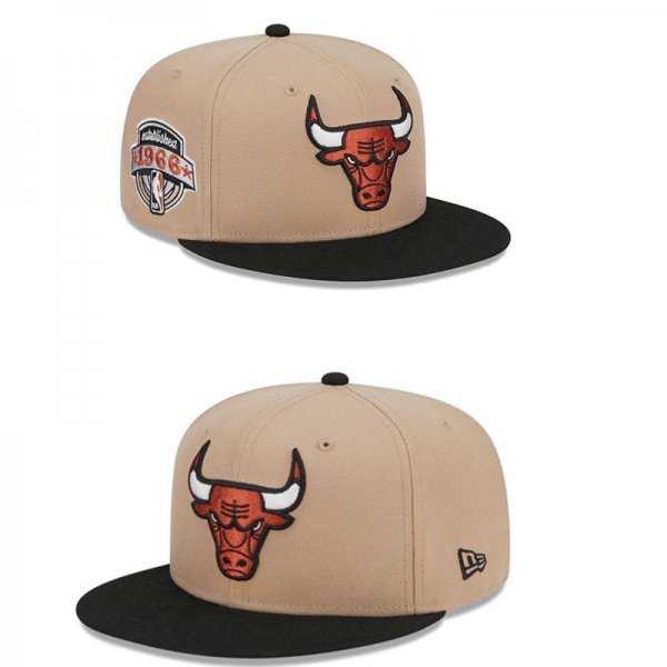 Chicago Bulls Brown And Black Cap