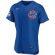 Men's Chicago Cubs Nike Royal Alternate Team Jersey